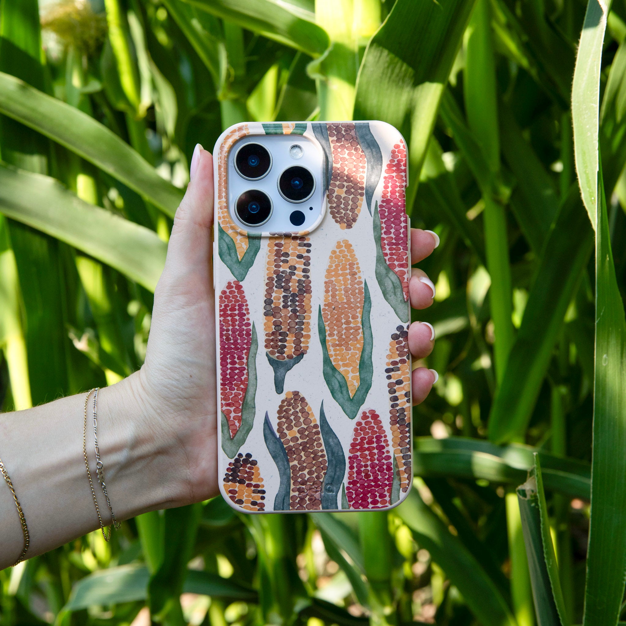 Coque iPhone 16 Seashell Cornfield - image 2